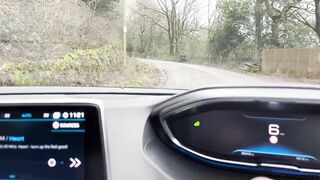 Hitchhiker Got Hot And Horny
